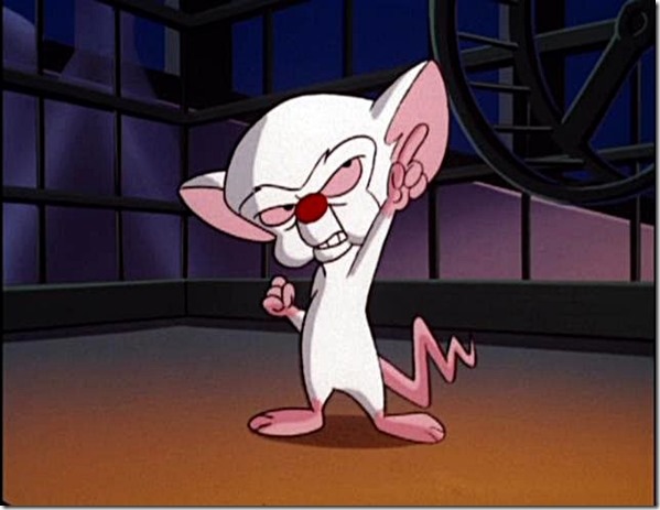 Pinky and the Brain - World Domination
